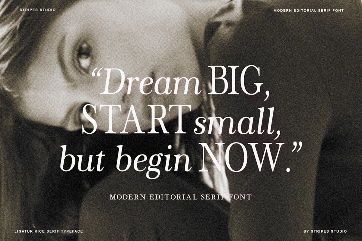 The Stripes Editorial + Italics, a Serif Font by Stripes Studio (Photo 18 of 23)