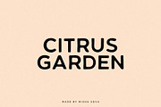 CITRUS GARDEN - vintage sans serif, a Sans Serif Font by Misha Sova (Thumbnail 9 of 11)