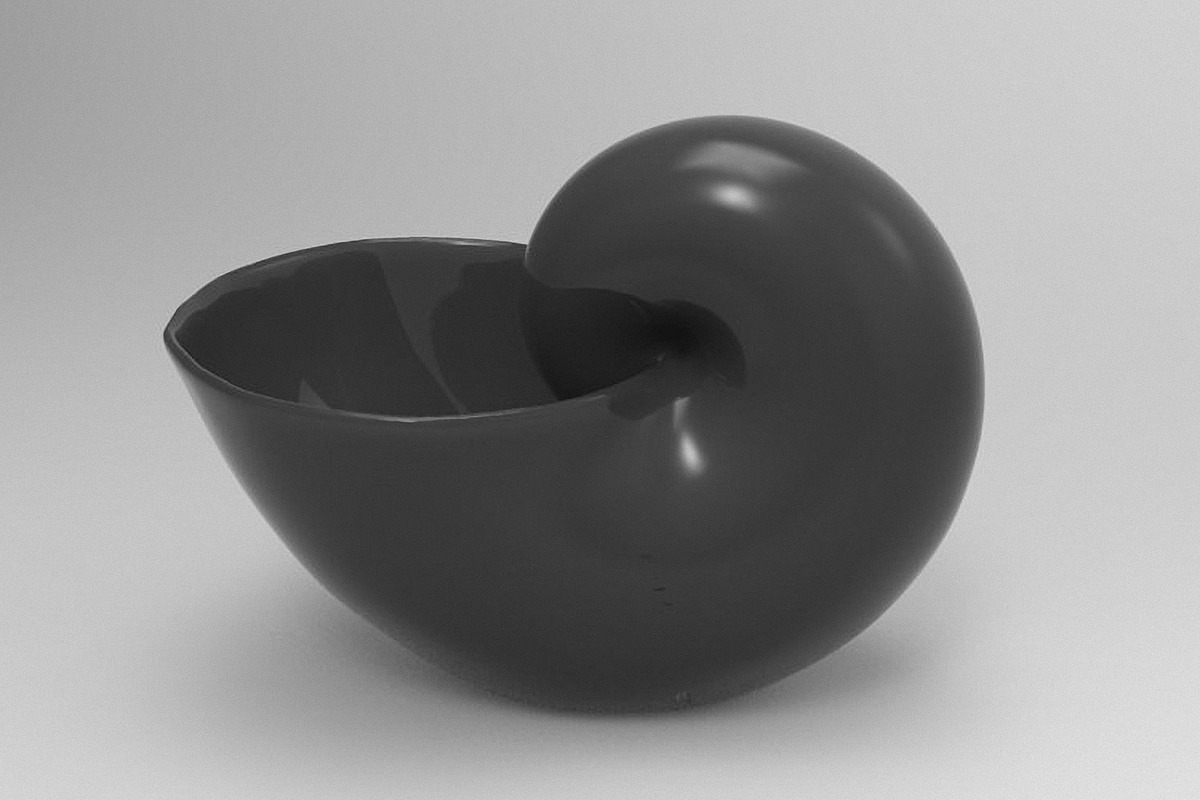 7 Shell Planter for 3D Printing, an Object 3D Model by Kseniya-Omega (Photo 8 of 17)