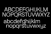 Gradus Grotesk Font Family, a Sans Serif Font by Brenners (Thumbnail 8 of 19)
