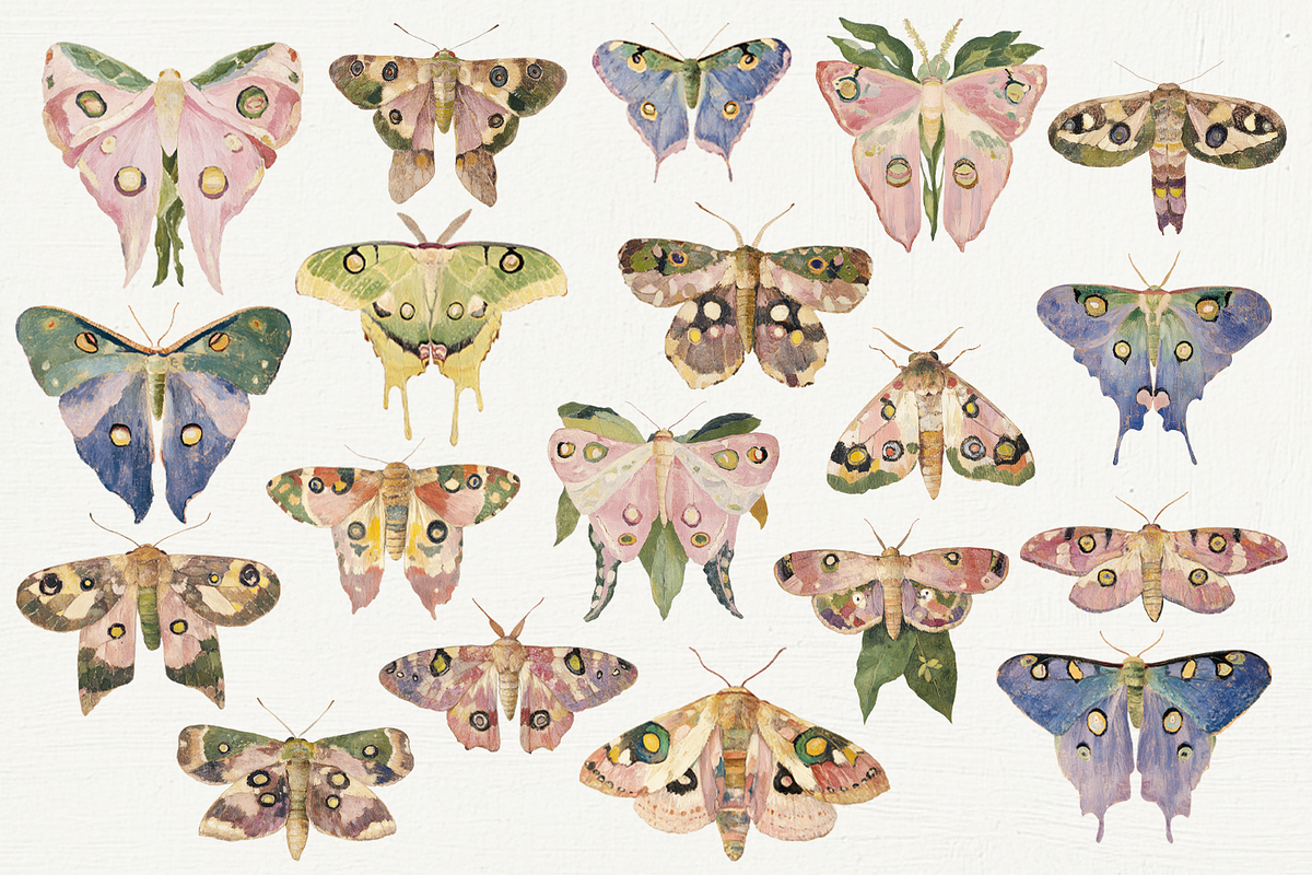 70 Watercolor Luna Moth Clipart, an Animal Illustration by Digital Museum (Photo 4 of 7)