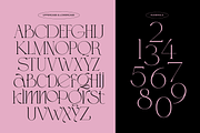 Groya - Modern Elegant Serif, a Serif Font by Nirmana Visual (Thumbnail 2 of 6)