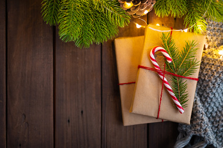 Cozy winter christmas under fir tree featuring gift, wrapping, and wooden