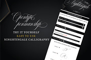 Nightingale, a Script Font by Teweka (Thumbnail 2 of 10)
