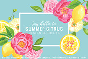 Summer Citrus Flower Graphic Kit, an Illustration by Relish Designs (Thumbnail 1 of 6)