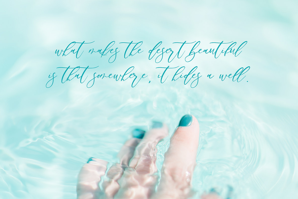 Palm Desert Modern Calligraphy Font preview 6