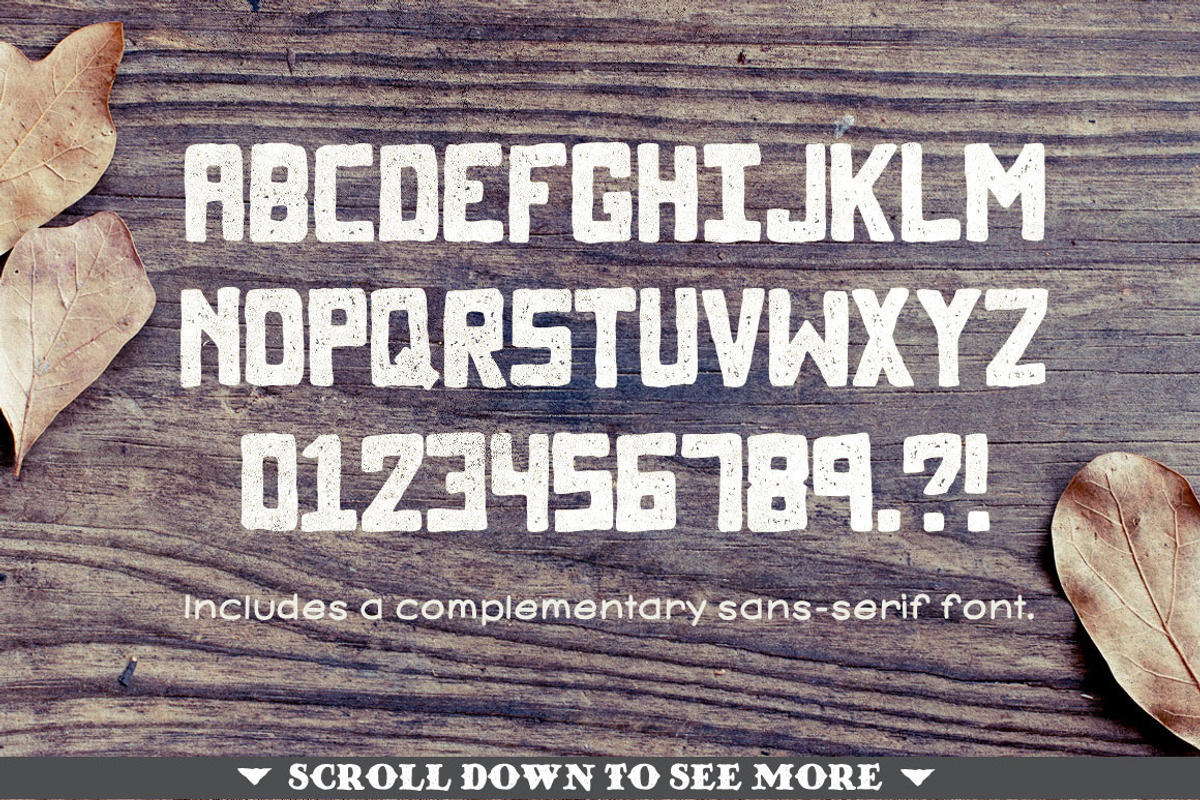 North Western Font + Vectors BUNDLE preview 4