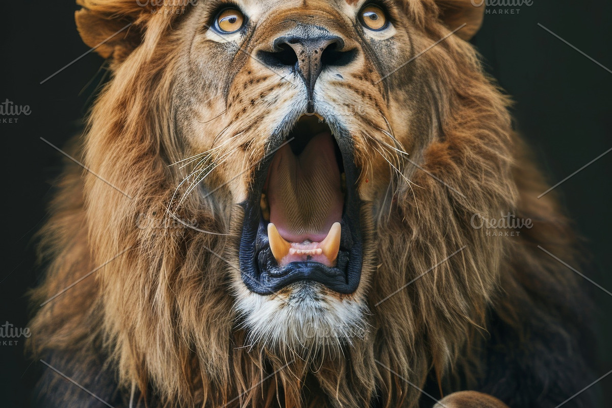 236 surprised animals, an Animal Photo by Handmadefont (Photo 96 of 241)