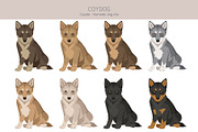 Coydog. Coyote - Domestic dog mix, an Animal Illustration by pet design shop (Thumbnail 4 of 6)