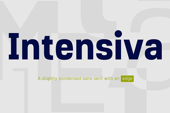 Intensiva Font Family preview 8