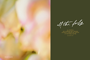 Blurred Dreamy Gradient Backgrounds, a Background Graphic by eclosque (Thumbnail 29 of 37)