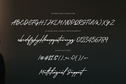 Wantsignature, a Font by Essentials Studio (Thumbnail 6 of 7)