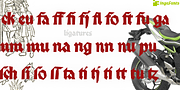 Palmona, a Blackletter Font by ingoFonts (Thumbnail 9 of 10)