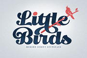 Little Bird Display Script, a Script Font by senzana (Thumbnail 10 of 10)