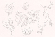 Modern Magnolia Floral Illustrations, an Illustration by Fire Spark Studio (Thumbnail 4 of 9)