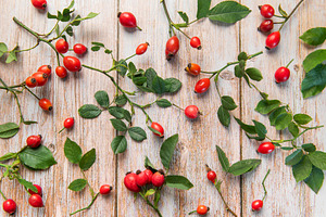Rosehip berries and leaves arranged on rustic wooden table, a Food & Drink Photo by Olena Rudo