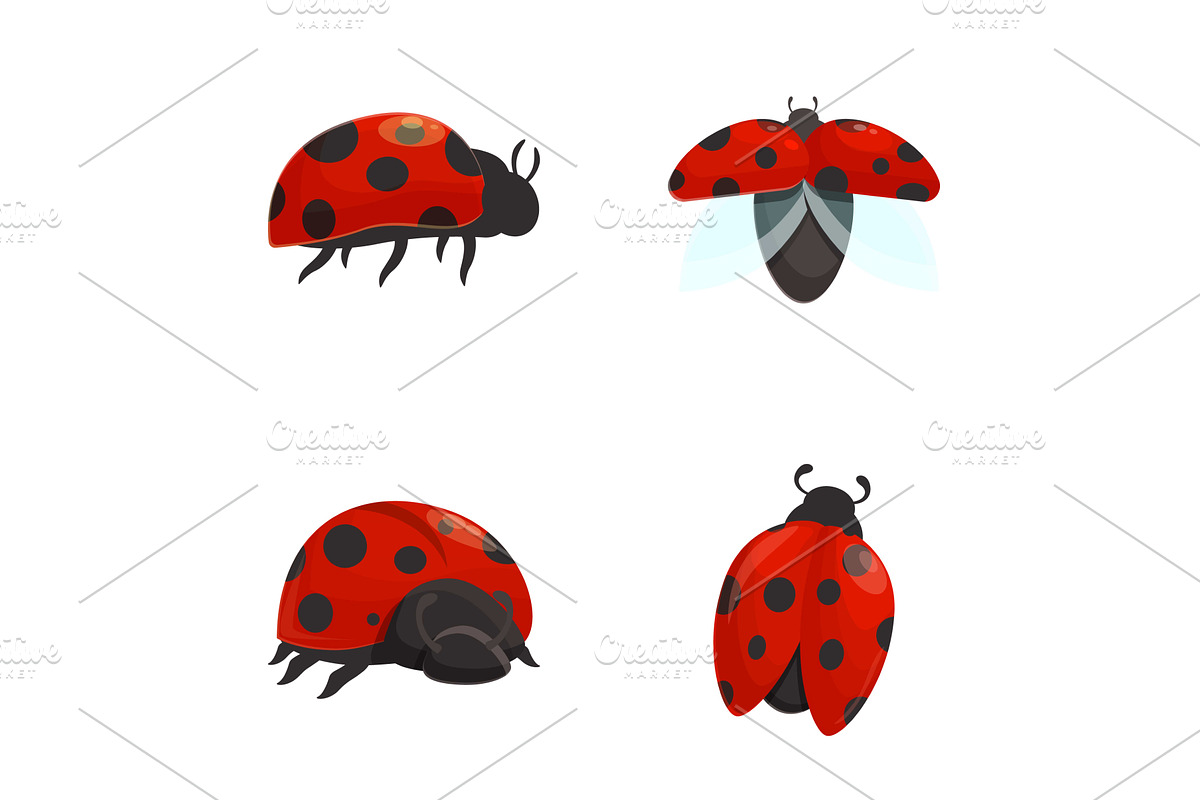 Ladybird icons set cartoon vector, an Animal Illustration by Ylivdesign