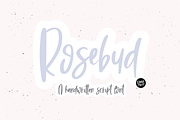 DESERT DREAMS Lettered Font Bundle, a Script Font by Blush Font Co. (Thumbnail 7 of 9)