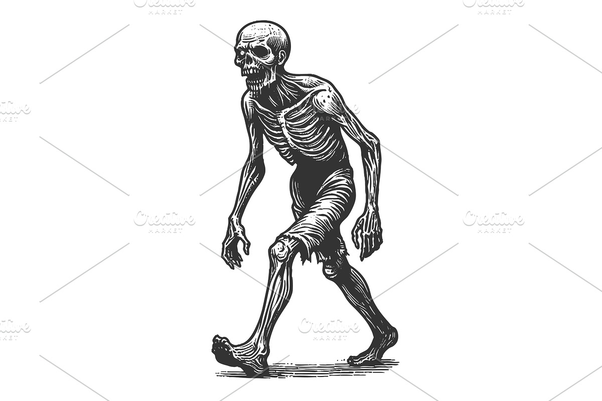 zombie walking Helloween art vector, a Person Illustration by AlexArt