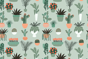 House Plants Illustrations & Pattern