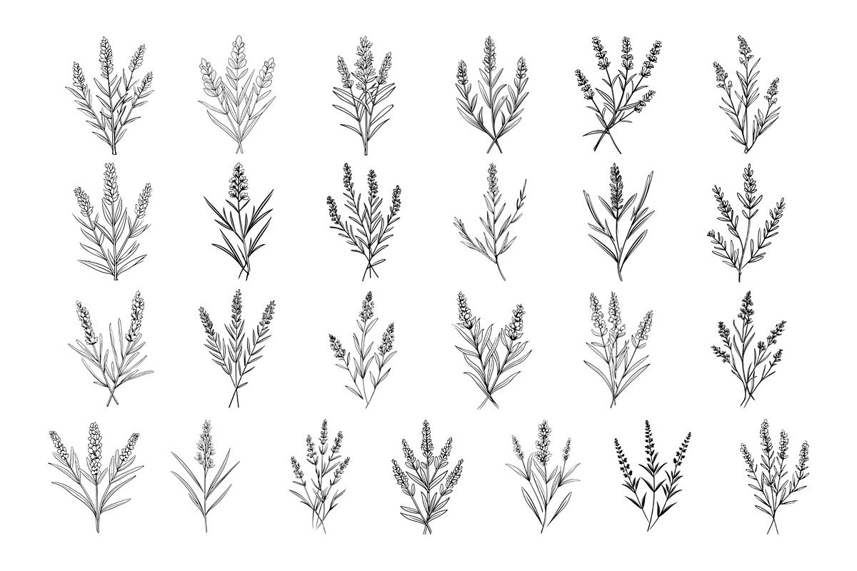 50 Lavender Procreate Stamps Brushes, a Brush Add-On by Procreate Sale (Photo 5 of 6)
