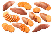 Sweet potato, an Object Graphic by Hortimages (Thumbnail 1 of 2)