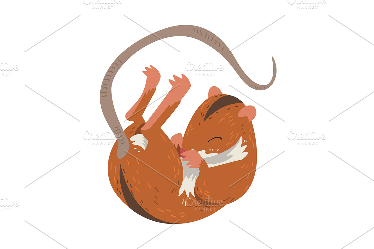 Field Mouse Sleeping on Its Back, an Animal Illustration by TopVectors