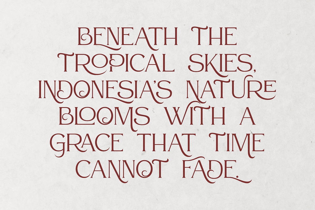 Atteron-Elegant Serif Font, a Serif Font by din-studio.com (Photo 15 of 16)