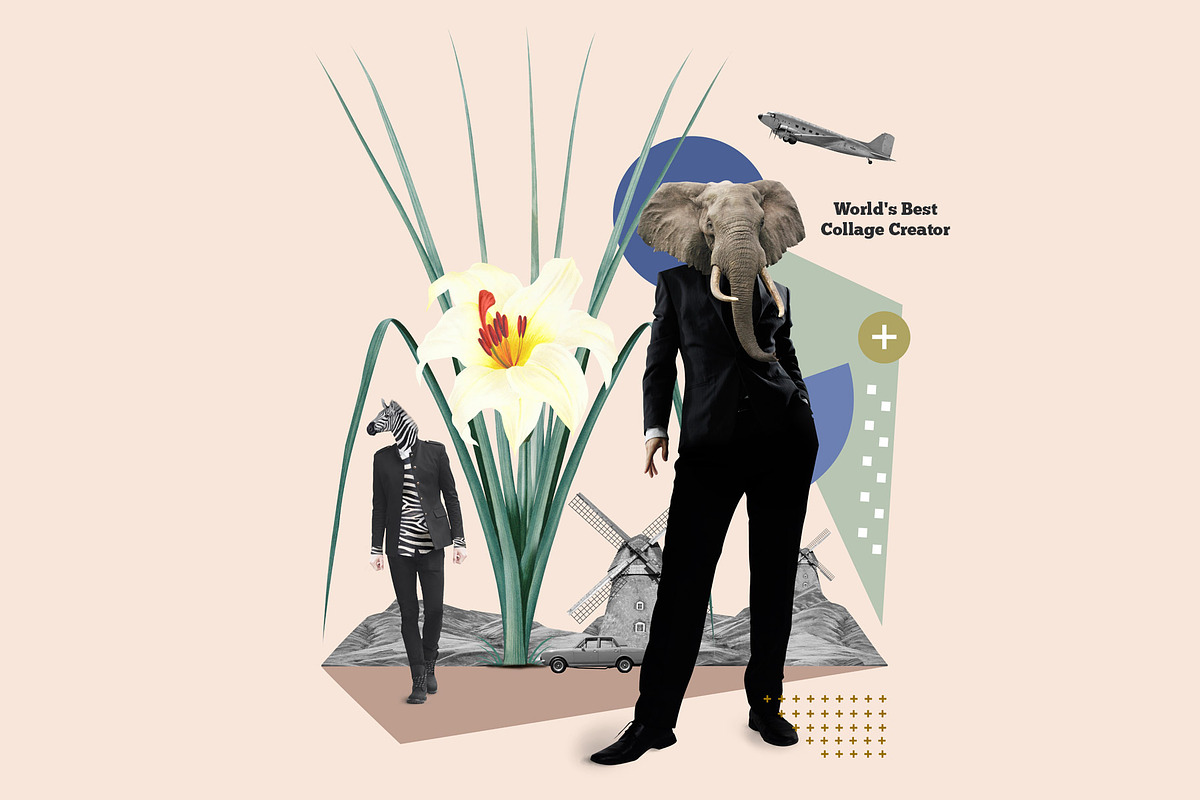World's Best Collage Creator, an Animal Illustration by SNIPESCIENTIST (Photo 28 of 48)