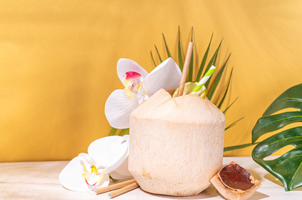 Young Thai coconut cocktail, a Food & Drink Photo by Rimma