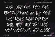 TAN-THE REVERIE, a Sans Serif Font by TanType (Thumbnail 11 of 11)