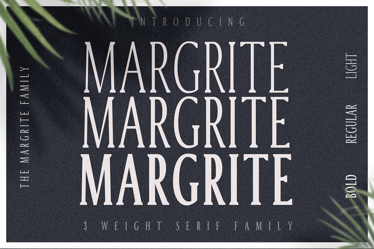 Margrite - Tall Serif Font Family, a Font by AndrewPixelType (Photo 1 of 9)