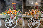 Desktop Lightroom Presets CRANBERRY, a Plug-in Add-On by Victoria Bee Presets (Thumbnail 21 of 29)
