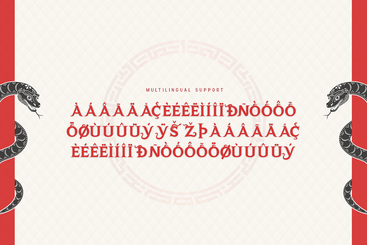 Snake Coil - Modern Chinese New Year, a Serif Font by overlaytemplates (Photo 5 of 5)