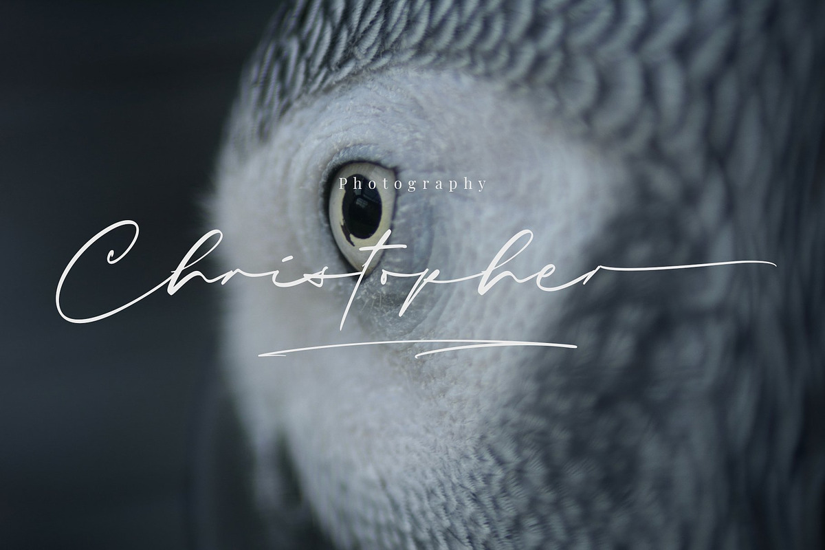 Sieralova - A Beauty Handwritten, a Script Font by Walkeren (Photo 8 of 16)