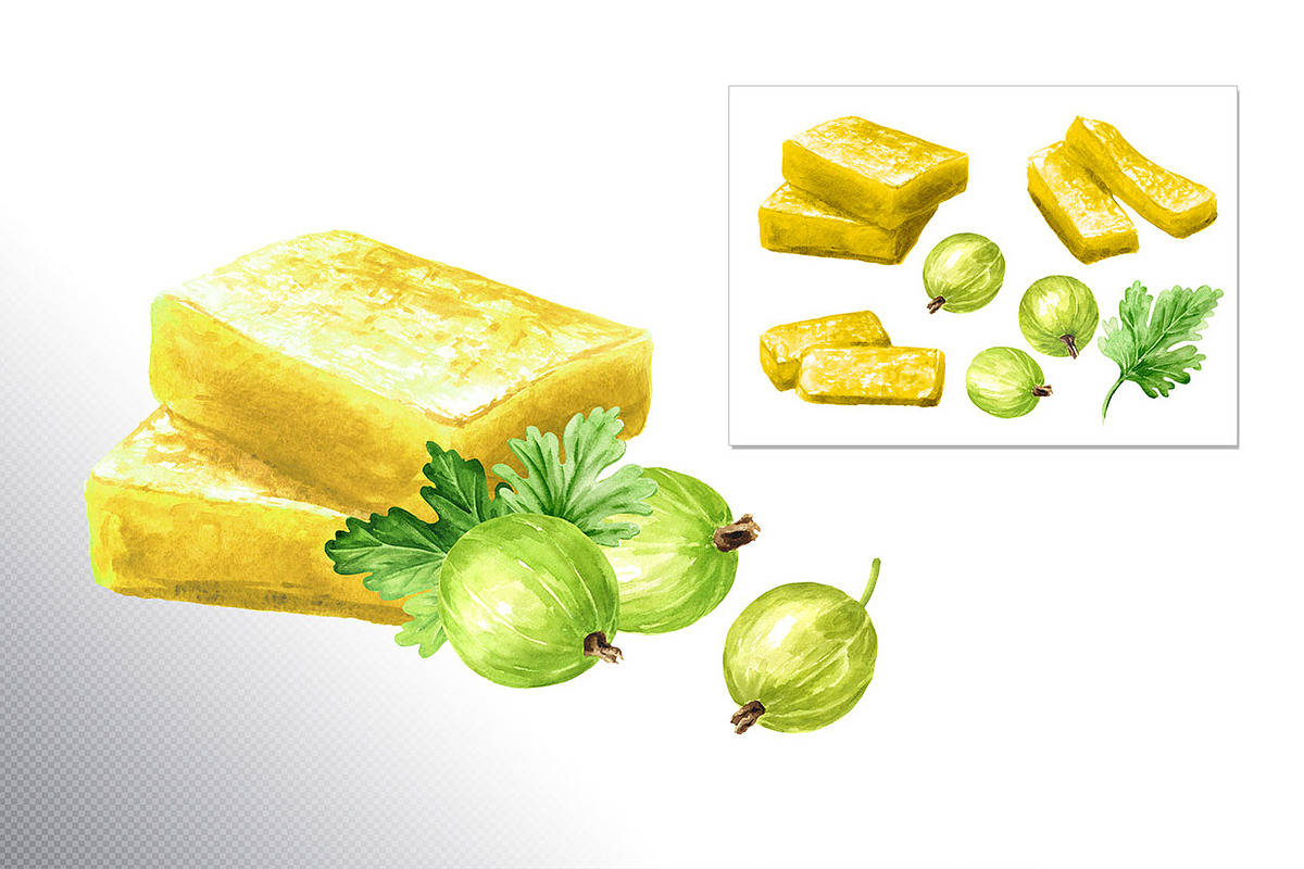 Amber Gooseberry. Watercolor set, a Food Illustration by Daria Ustiugova (Photo 20 of 23)