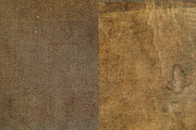 Vintage Overlays & Stamp Pack, a Decorative Illustration by Century Library (Thumbnail 12 of 15)