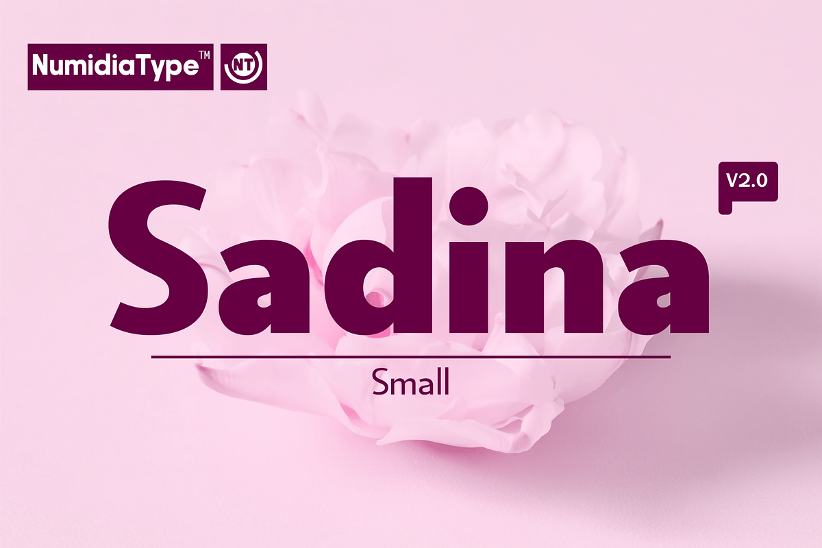 Sadina S, a Sans Serif Font by NumidiaType (Photo 1 of 6)