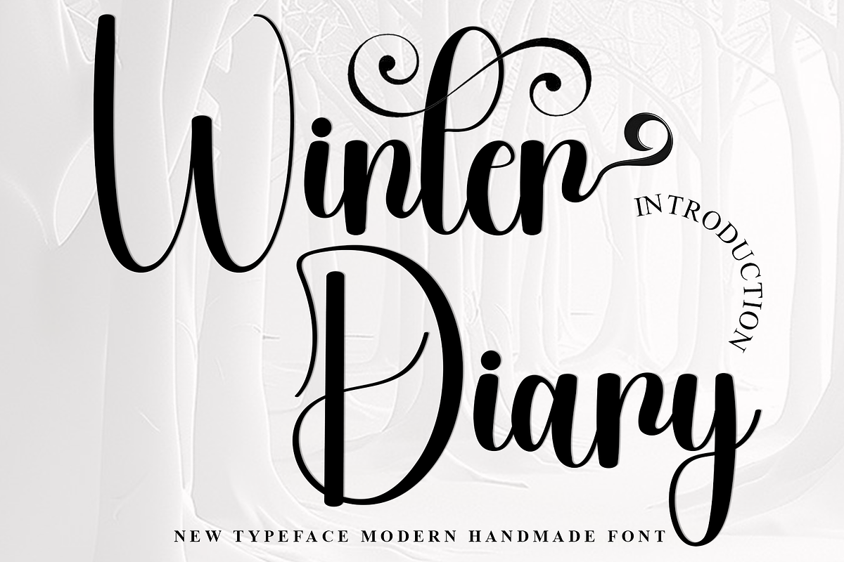 Winter Diary, a Handwritten Font by InermediaSTUDIO (Photo 1 of 8)