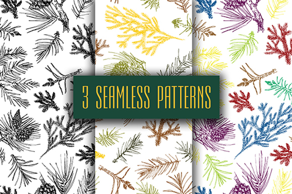 Hand drawn christmas needles., a Seasonal Illustration by Alena Kaz (Photo 3 of 3)