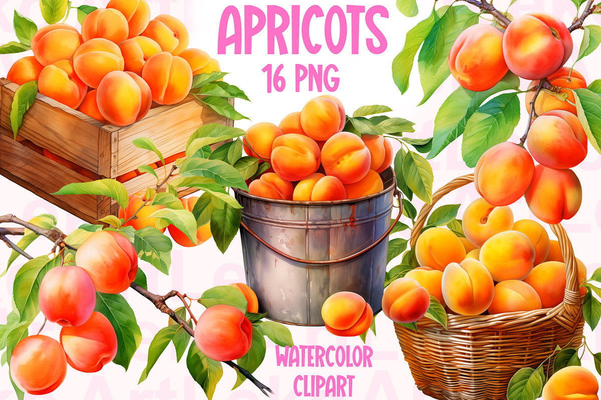 Apricots Watercolor Clipart, a Food Illustration by LekoArt (Photo 1 of 10)