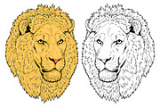 LIONS set, an Animal Illustration by Tanya Akhmett (Thumbnail 2 of 5)