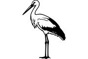 Bird Silhouette Vector Mega Bundle, an Animal Illustration by Designer_Momina (Thumbnail 12 of 21)