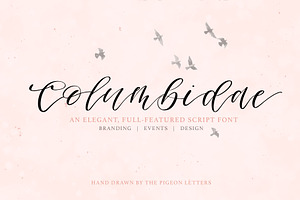 Columbidae Elegant Calligraphy Font