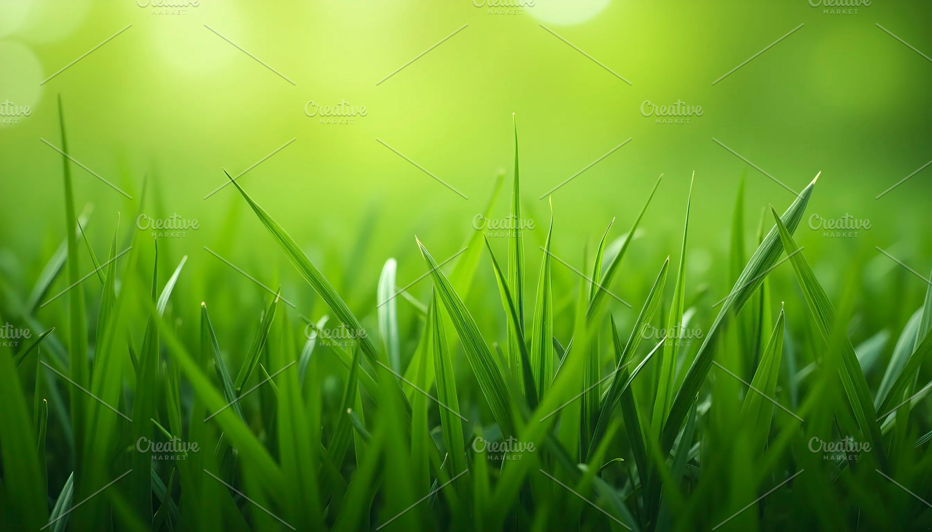 Fresh Green Grass Close-Up Texture f, a Photo by LOGOCREATIVE