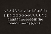Gold & Song Modern Serif Font, a Serif Font by Storytype Studio (Thumbnail 13 of 15)