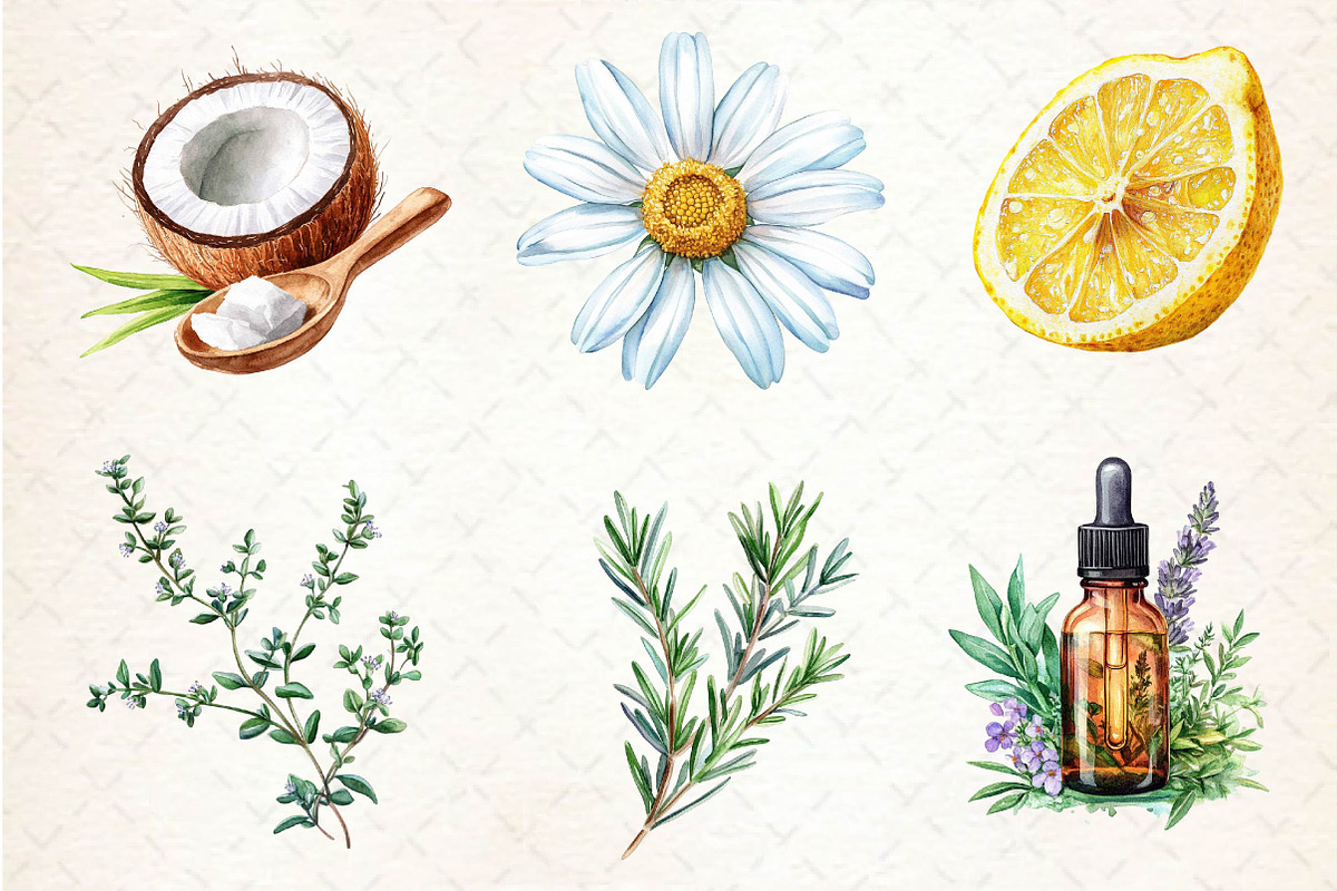 Watercolor Natural Remedies Clipart, an Illustration by Dream Creation (Photo 2 of 5)
