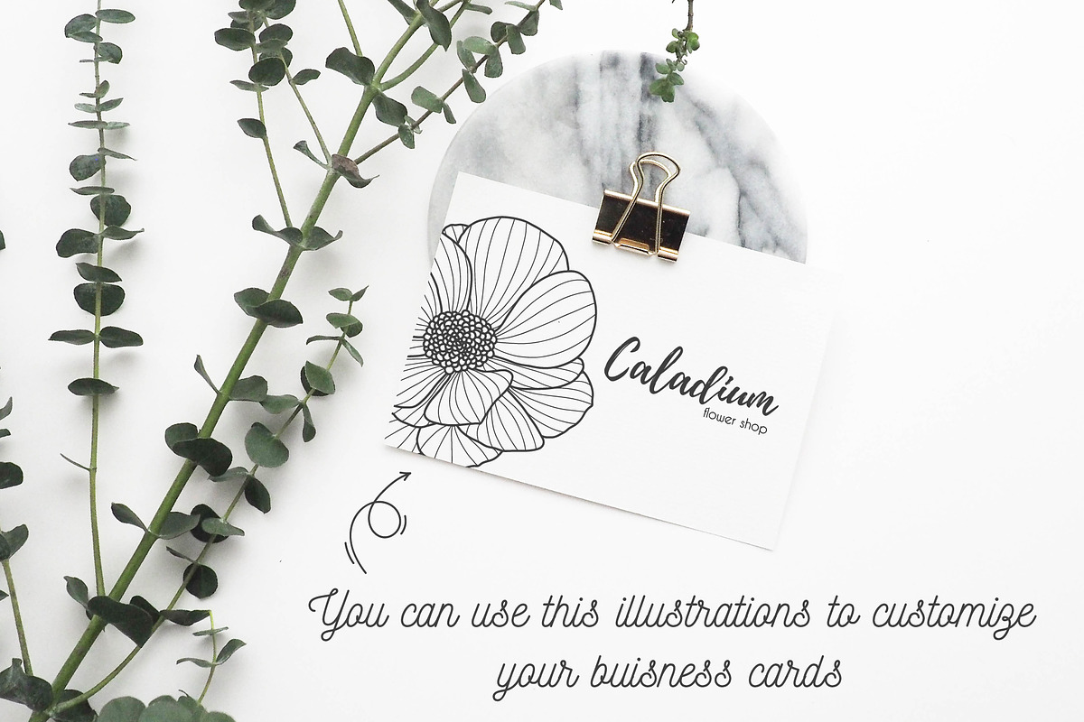 Hand drawn floral elements, a Decorative Illustration by Wander Designs (Photo 2 of 8)