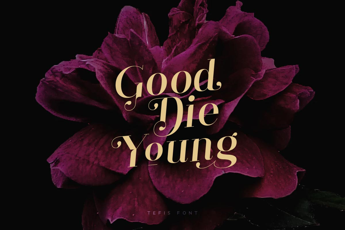 Designer Font Bundle • 80% Off, a Font by vuuuds (Photo 19 of 34)