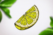Lemons vector sketches, an Object Graphic by WalnutBird (Thumbnail 5 of 6)